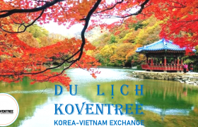 Chùm Tour Du lịch mùa thu tại Hàn Quốc 4 ngày 4 đêm từ TPHCM giá tốt 