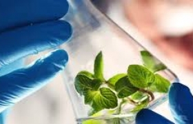 Du Học Ngành Môi Trường Tại Hàn Quốc - Cơ Hội Cho Sinh Viên Việt Nam