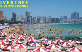 CHÙM TOUR DU LỊCH MÙA HÈ TẠI HÀN QUỐC GIÁ TỐT NHẤT